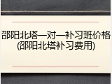 邵阳北塔一对一补习班价格(邵阳北塔补习费用)