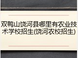 双鸭山饶河县哪里有农业技术学校招生(饶河农校招生)