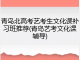 青岛北高考艺考生文化课补习班推荐(青岛艺考文化课辅导)