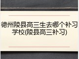 德州陵县高三生去哪个补习学校(陵县高三补习)
