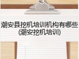 潮安县挖机培训机构有哪些(潮安挖机培训)