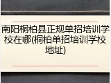 南阳桐柏县正规单招培训学校在哪(桐柏单招培训学校地址)