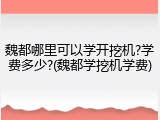 魏都哪里可以学开挖机?学费多少?(魏都学挖机学费)