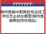 柳州鱼峰中职数控专业技工学校怎么样在哪里(柳州鱼峰数控技校地址)