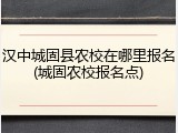 汉中城固县农校在哪里报名(城固农校报名点)