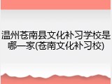 温州苍南县文化补习学校是哪一家(苍南文化补习校)