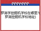 罗湖学挖掘机学校在哪里?(罗湖挖掘机学校地址)