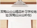 双鸭山尖山精品补习学校地址(双鸭山尖山补校)