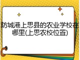 防城港上思县的农业学校在哪里(上思农校位置)