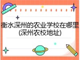 衡水深州的农业学校在哪里(深州农校地址)