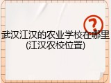 武汉江汉的农业学校在哪里(江汉农校位置)