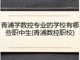 青浦学数控专业的学校有哪些职中生(青浦数控职校)