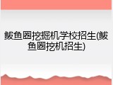 鲅鱼圈挖掘机学校招生(鲅鱼圈挖机招生)
