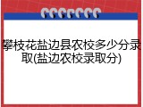 攀枝花盐边县农校多少分录取(盐边农校录取分)