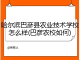 哈尔滨巴彦县农业技术学校怎么样(巴彦农校如何)