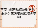 平顶山郏县编程培训学费一般多少钱(郏县编程培训学费)