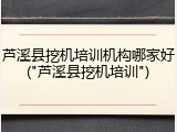 芦溪县挖机培训机构哪家好("芦溪县挖机培训")