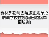 锡林郭勒阿巴嘎旗正规单招培训学校在哪(阿巴嘎旗单招培训)
