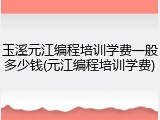 玉溪元江编程培训学费一般多少钱(元江编程培训学费)