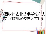 广西钦州农业技术学校有大专吗(钦州农校有大专吗)