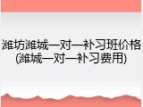 潍坊潍城一对一补习班价格(潍城一对一补习费用)