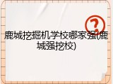 鹿城挖掘机学校哪家强(鹿城强挖校)