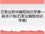 石家庄新华编程培训学费一般多少钱(石家庄编程培训学费)