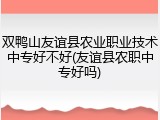 双鸭山友谊县农业职业技术中专好不好(友谊县农职中专好吗)