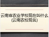 云南省农业学校现在叫什么(云南农校现名)