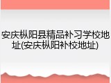 安庆枞阳县精品补习学校地址(安庆枞阳补校地址)
