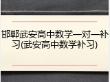 邯郸武安高中数学一对一补习(武安高中数学补习)