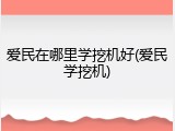 爱民在哪里学挖机好(爱民学挖机)