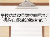 攀枝花盐边县数控编程培训机构在哪(盐边数控培训)