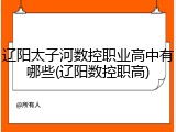辽阳太子河数控职业高中有哪些(辽阳数控职高)