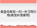 秦皇岛青龙一对一补习班价格(青龙补课费用)