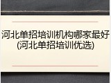 河北单招培训机构哪家最好(河北单招培训优选)