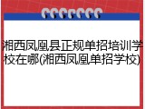 湘西凤凰县正规单招培训学校在哪(湘西凤凰单招学校)