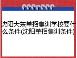 沈阳大东单招集训学校要什么条件(沈阳单招集训条件)