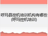 呼玛县挖机培训机构有哪些(呼玛挖机培训)