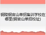 铜陵铜官山单招集训学校在哪里(铜官山单招校址)