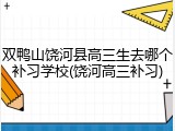 双鸭山饶河县高三生去哪个补习学校(饶河高三补习)