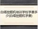 白塔挖掘机培训学校学费多少(白塔挖掘机学费)