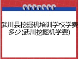 武川县挖掘机培训学校学费多少(武川挖掘机学费)