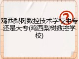 鸡西梨树数控技术学校中专还是大专(鸡西梨树数控学校)