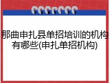 那曲申扎县单招培训的机构有哪些(申扎单招机构)