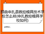 那曲申扎县数控模具技术学校怎么样(申扎数控模具学校如何)
