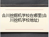 合川挖掘机学校在哪里(合川挖机学校地址)