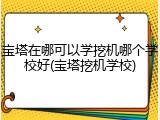 宝塔在哪可以学挖机哪个学校好(宝塔挖机学校)