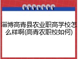 淄博高青县农业职高学校怎么样啊(高青农职校如何)