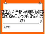 湛江赤坎单招培训机构哪家最好(湛江赤坎单招培训优选)